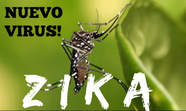 virus del Zika