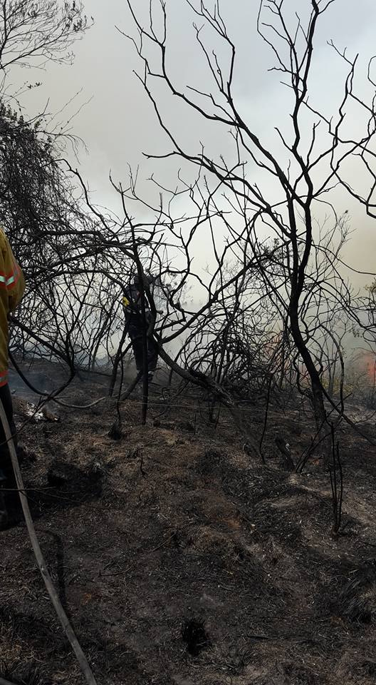 incendio forestal en Nobsa, Boyacá10