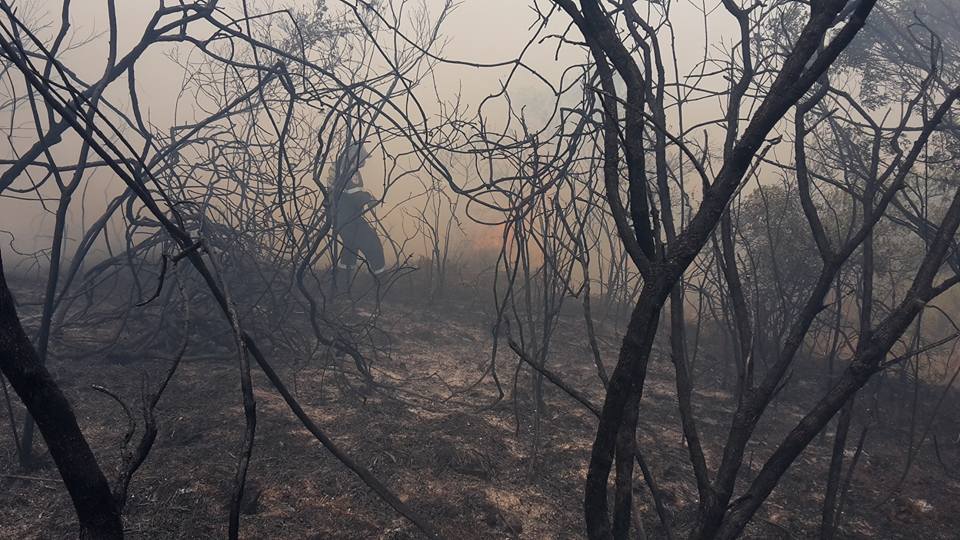 incendio forestal en Nobsa, Boyacá11