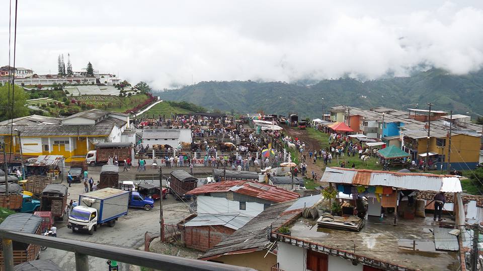 Feria ganadera hoy en Neira Caldas Colombia.