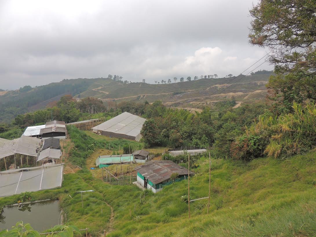 una granja para la practica.