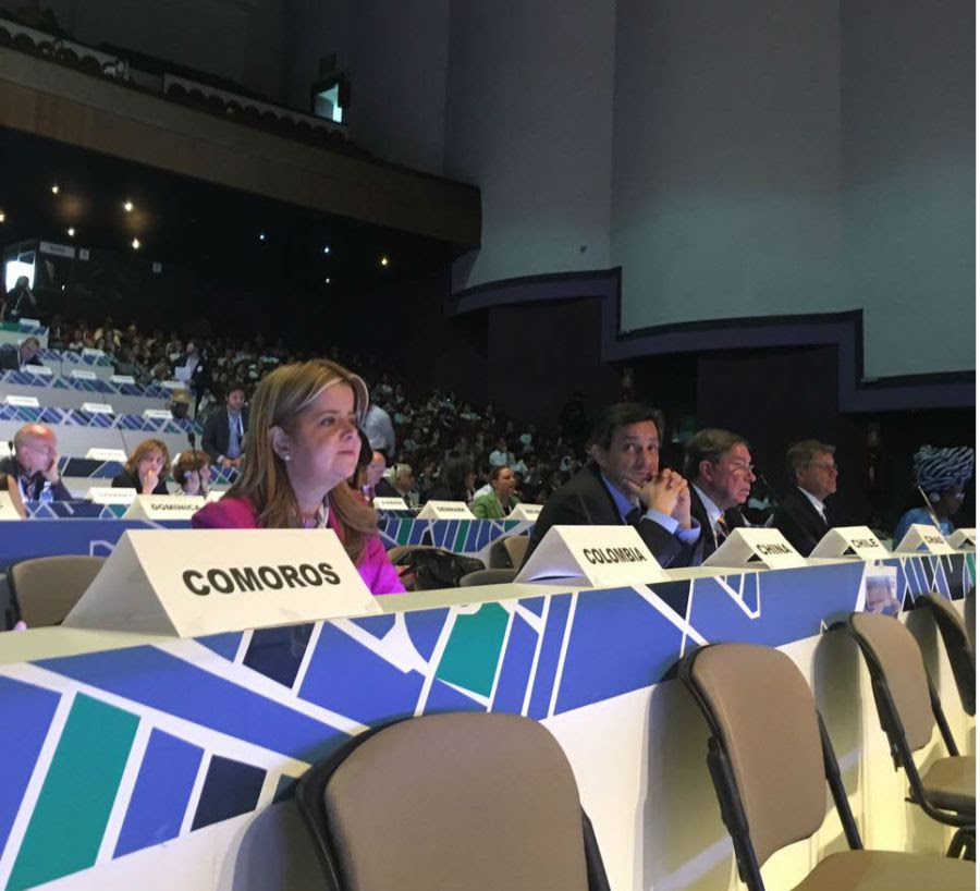 Ministra de Vivienda, Elsa Noguera, en la mesa de trabajo sobre cómo el desarrollo urbano no puede dejar a nadie atrás, Hábitat III. Foto: (MVCT).