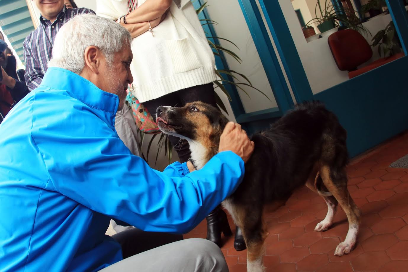 bogota-la-primera-ciudad-del-pais-en-contar-con-un-instituto-de-proteccion-y-bienestar-animal2