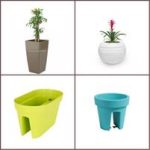Nueva tendencia en decoración incorpora plantas y flores para interiores y balcones