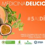 cincoaldia