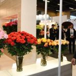 PROFLORA 2019 D