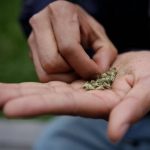 Consumo de sustancias psicoactivas en parques