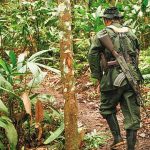 Asesinan a exmiembro de Farc en el Catatumbo