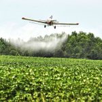 Erradicación aérea de coca