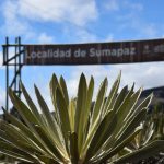 ALCALDIA DE SUMAPAZ (4)