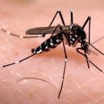 virosis que afecta a indígenas en Chocó