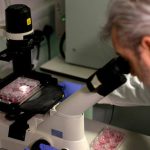 Vacuna contra el Coronavirus