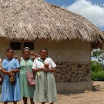 Pueblos Indigenas