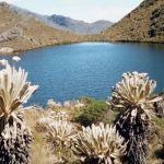 Páramo de Santurbán.