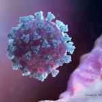 Ordenador creada por Nexu Science Communication junto con el Trinity College de Dublín, muestra un modelo estructuralmente representativo de un betacoronavirus que es el tipo de virus vinculado a COVID-19, NEXU Science Communication/vía REUTERS