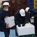 Empleados trabajan dentro de una bodega del Ministerio de Salud colombiano, donde se almacenará una eventual vacuna contra el COVID-19), en Bogotá. REUTERS / Luisa González