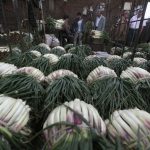 Un comerciante vende cebollas en Corabastos, el principal mercado de alimentos de Bogotá. REUTERS/John Vizcaino