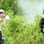 Política antidrogas en Colombia