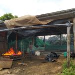 Como parte de las labores de control territorial y limpieza del territorio los comuneros destruyen un laboratorio ilegal en La Laguna-Siberia, Municipio Caldono, al norte del Cauca