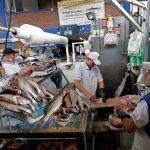 Vendedores limpian pescado para la venta en la plaza de mercado de Paloquemao en Bogotá. REUTERS/Luisa González