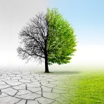 Cambio Climático. Foto: Shutterstock