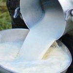 Leche recien ordeñada