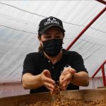 La finca que se consolida como la representante de lo mejor del café en Colombia Liliana Caballero, gerente de la finca Café Hacienda Casablanca que se encuentra en Santander, Colombia. (Juan David Moreno - Agencia Anadolu)