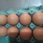 Huevos