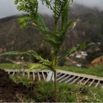 Por las diferentes problemáticas de degradación ambiental que afronta el país, Respira implementará los Pagos por Servicios Ambientales (PSA), como estrategias de conservación complementarias.