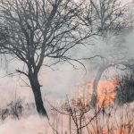 Incendios forestales