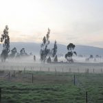Heladas en Santanderes y altiplano cundiboyacense