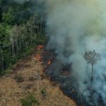 Deforestación en el Amazonas