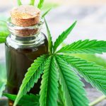 Cannabis Medicinal