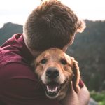 Perro mascota
