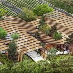 Banco semillas del futuro CIAT