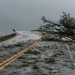Árboles caídos en Boca Grande Causeway mientras el huracán Ian avanzaba tierra adentro el miércoles 28 de septiembre de 2022. MATIAS J. OCNER mocner@miamiherald.com
Read more at: https://www.elnuevoherald.com/noticias/florida/sur-de-la-florida/article266543011.html#storylink=cpy