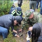 Ejército Nacional se unió a la siembra de 400 frailejones en el Páramo de Santurbán