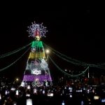 “El árbol de la abundancia” florece en Bogotá.Foto Secretaría de Cultura, Recreación y Deporte