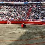 Novillada con Picadores