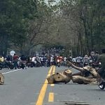 Bloqueos en La Apartada para impedir llegada de mineros. Foto suministrada por la comunidad.