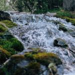 Un primer plano del agua que fluye a través del suelo cubierto de musgo