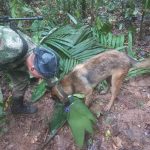 Militares no confirman aún rescate de 4 menores de avioneta accidentada