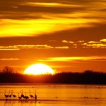 * Los fenómenos meteorológicos, hidrológicos y climáticos causaron en Europa 16.365 víctimas mortales y afectaron directamente a 156.000 personas en 2022.