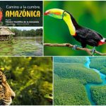 Cumbre Amazónica de Leticia