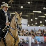 Caballo de exposición en AgrExpo2023