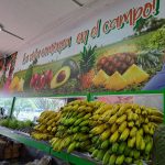 Frutas y verduras 3