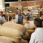 Carga de Café.Foto cortesía FCF