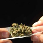 El Ministerio de Justicia ha reiterado que es responsabilidad de los alcaldes y gobernadores designar espacios para el consumo de estupefacientes, acatando las sentencias de la Corte Constitucional.