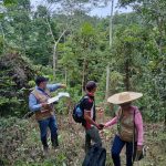 Un total de 111 familias rurales realizan acciones de conservación en 990,7 hectáreas (ha) de bosque estratégico en las veredas Las Pailas, La Botella, Tuis Tuis y Brazil en el municipio de Tierralta, Córdoba.

Estas familias implementan un esquema de Pagos por Servicios Ambientales (PSA) en 413 ha para incentivar la conservación, protección y restauración de los ecosistemas estratégicos de la región. Además, restauran 577,7 ha con el fin de recuperar y rehabilitar los bosques en el norte del país.