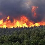 Incendios forestales en Colombia